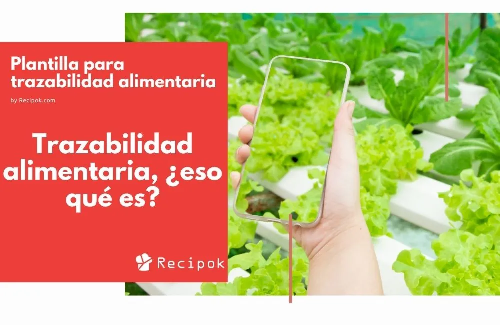 Plantilla para trazabilidad alimentaria gratuita y actualizada